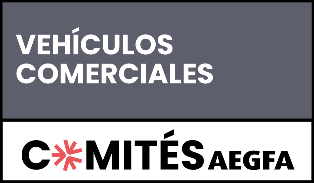 05-comite.png